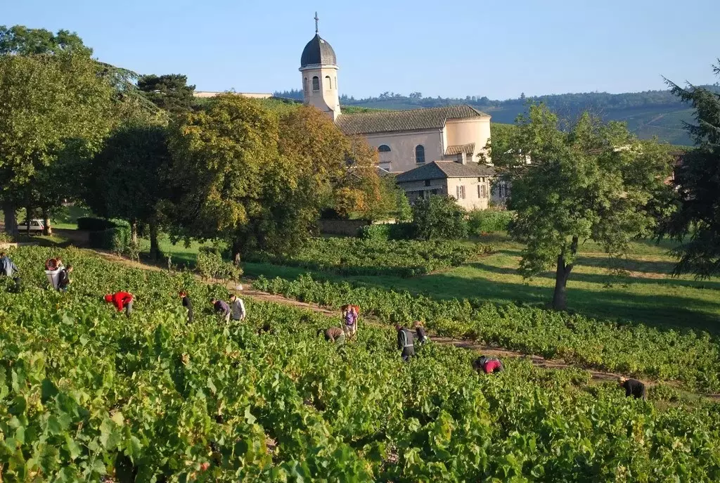 Photo 2 du domaine Cheysson