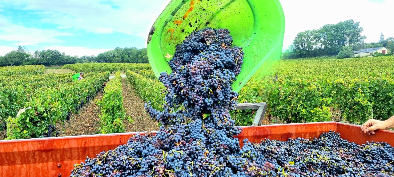 Photo 4 château Cassat