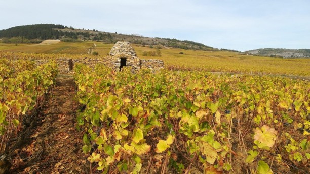 Photo Ponsard Chevalier 2