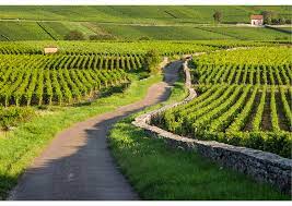 Photo Conseillerie des Tonneliers 3