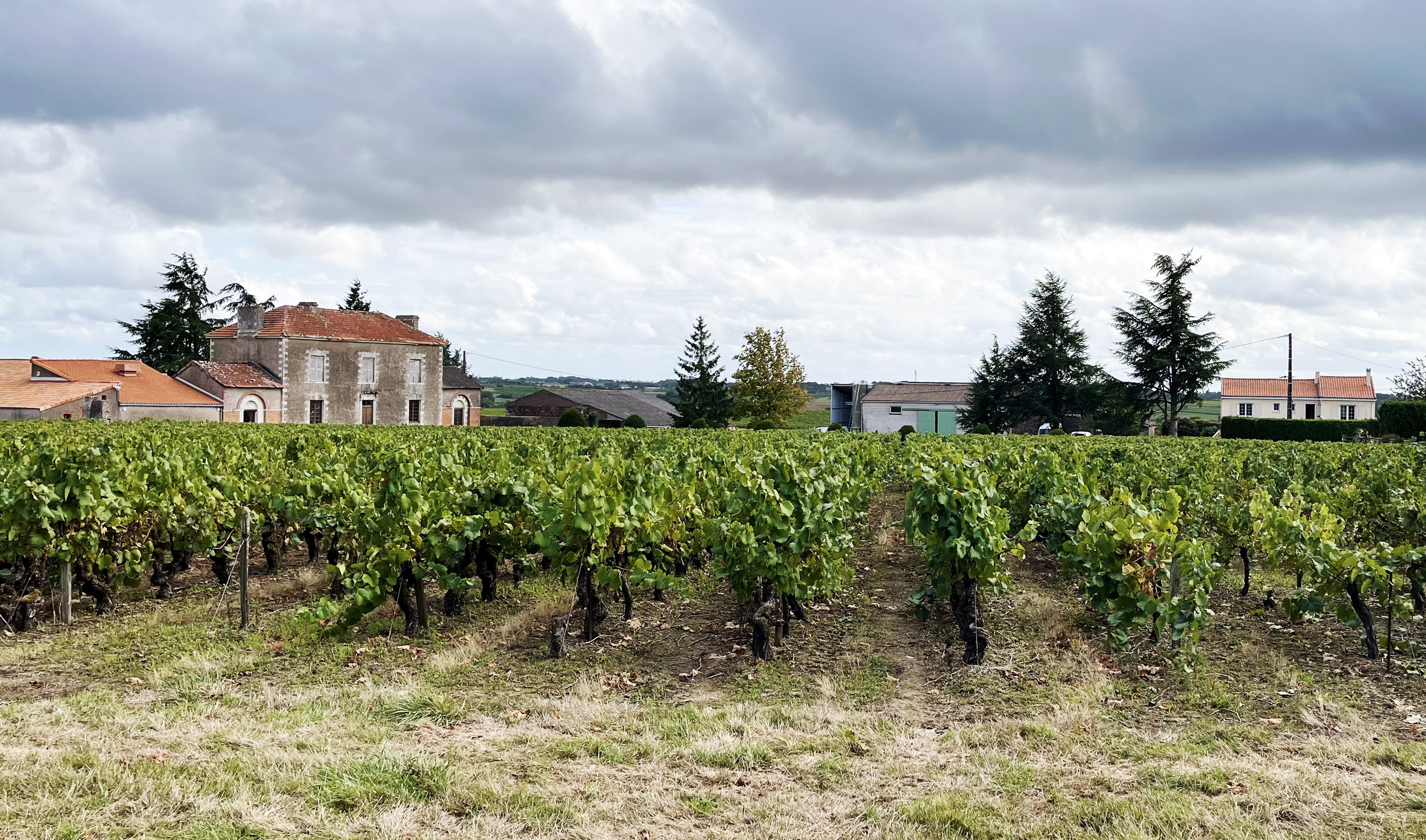 Château de la Ferté