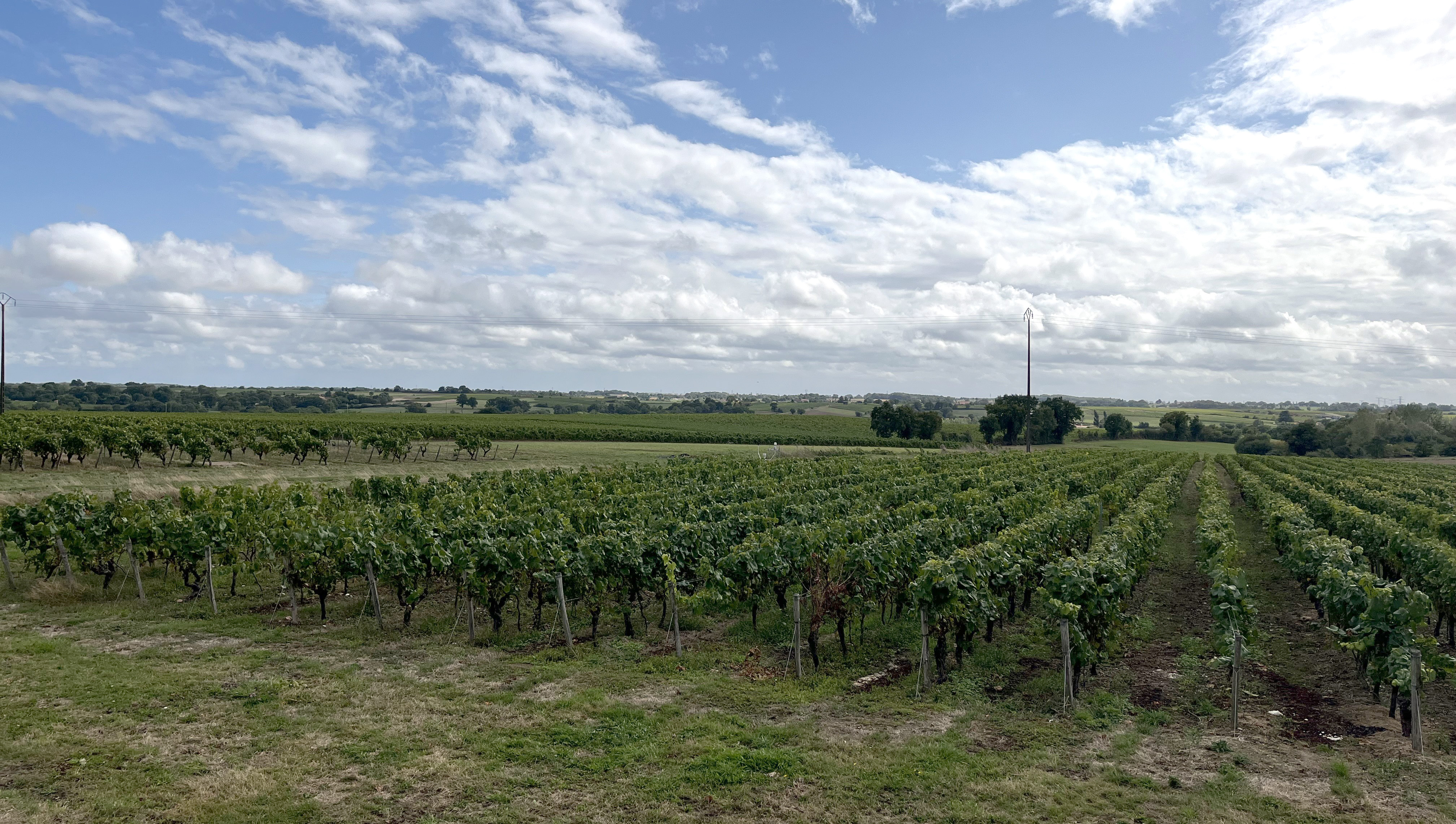 Château de la Ferté